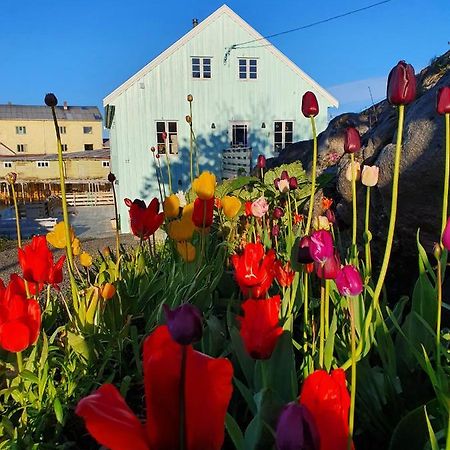 Lysvoldbrygga Panzió Henningsvær Kültér fotó