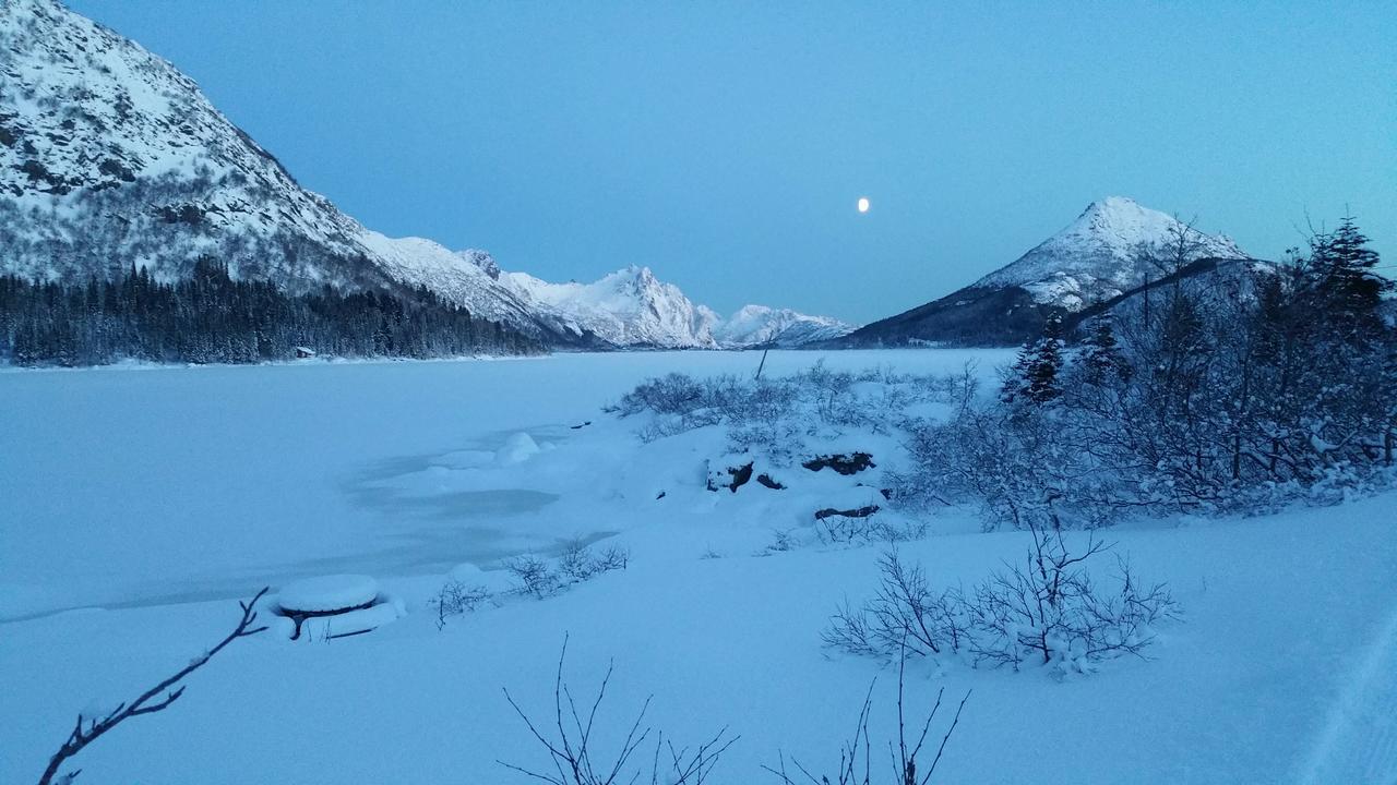 Lysvoldbrygga Panzió Henningsvær Kültér fotó